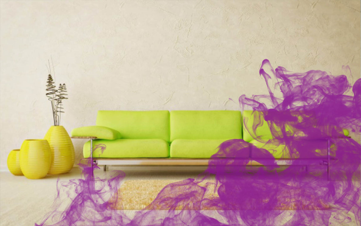 Parfum profesional concentrat AIR BUBBLE GUM GRASS 1L cu aroma de guma de mestecat