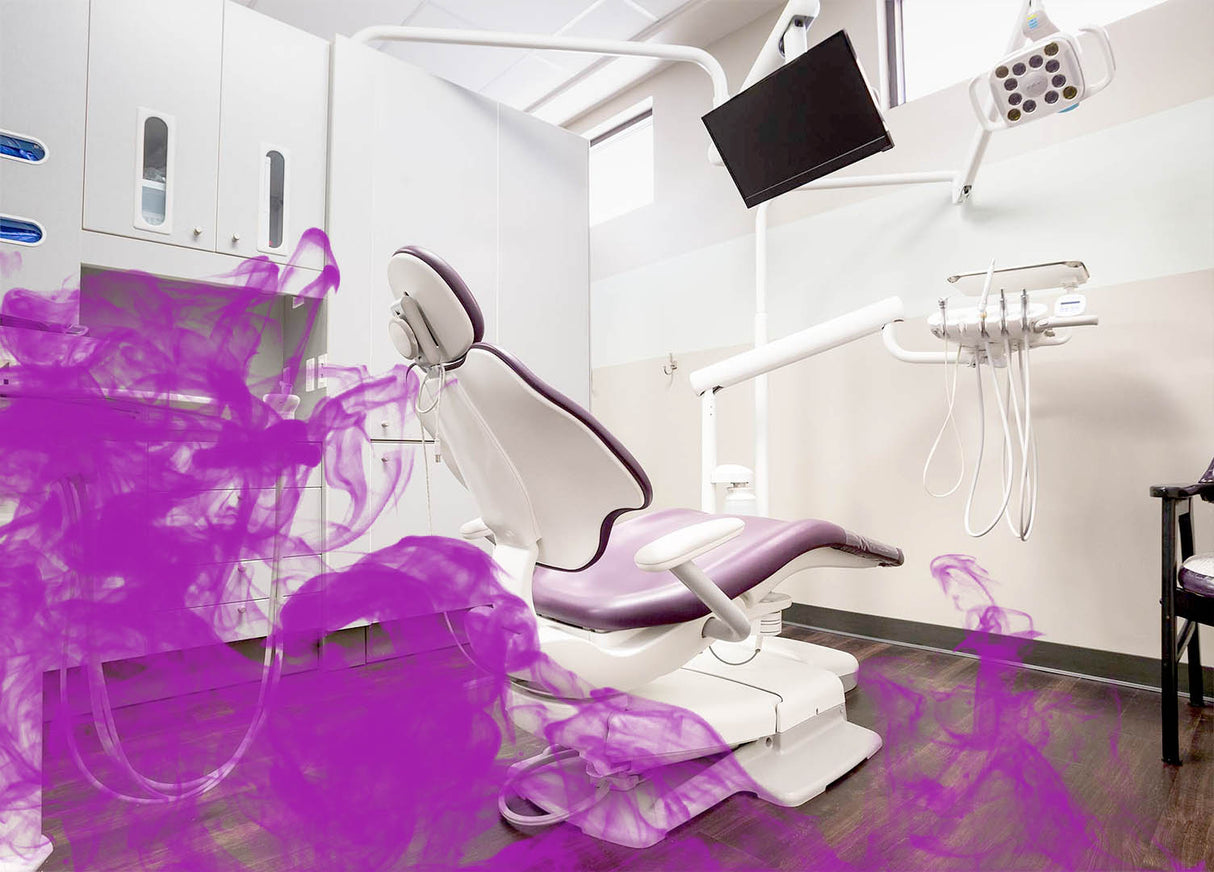 Parfum profesional concentrat AIR BUBBLE GUM GRASS 1L cu aroma de guma de mestecat