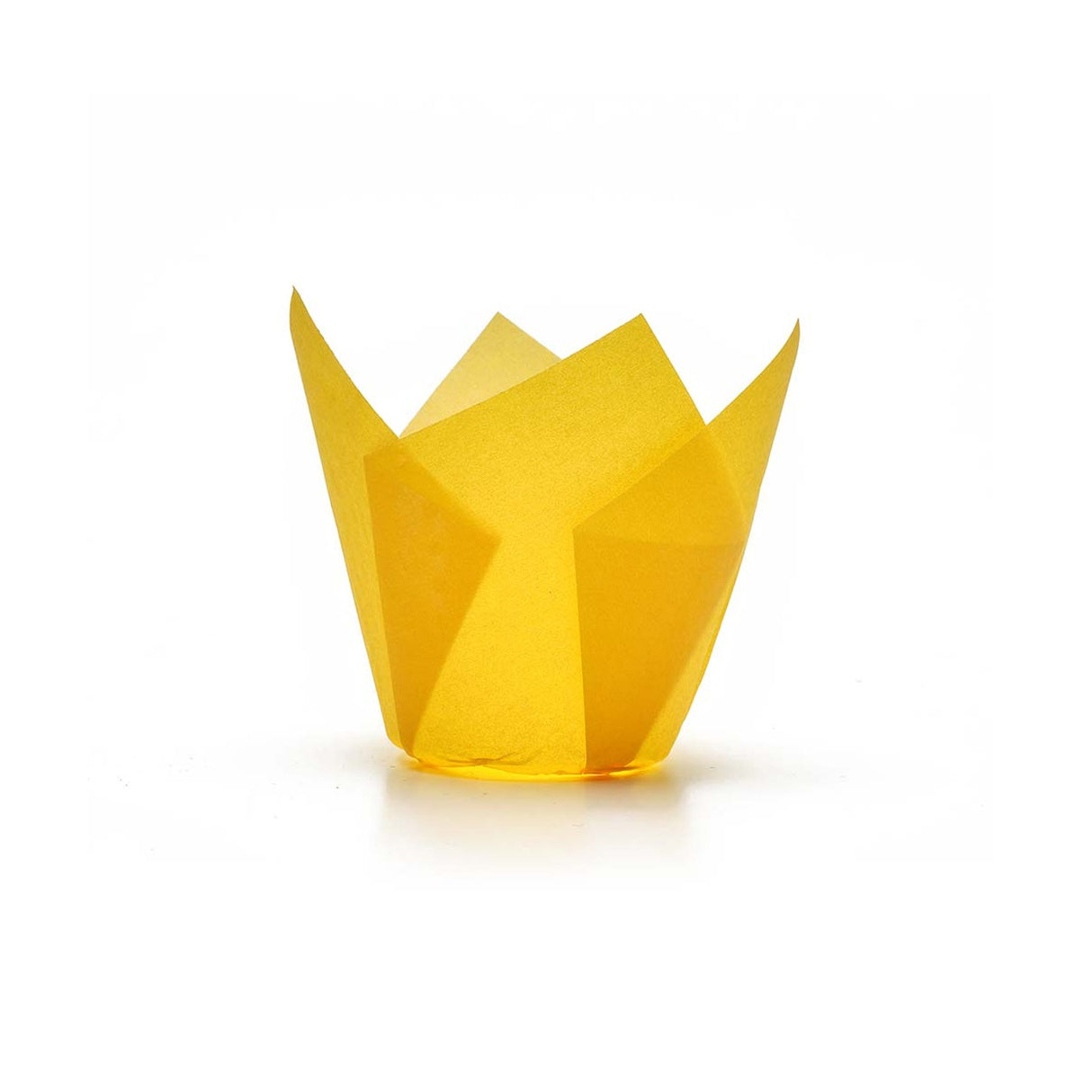 Forme pentru brioșe din hârtie, ⌀ 5 cm, 50g, rezistente la grăsimi (265 bucăți/set)