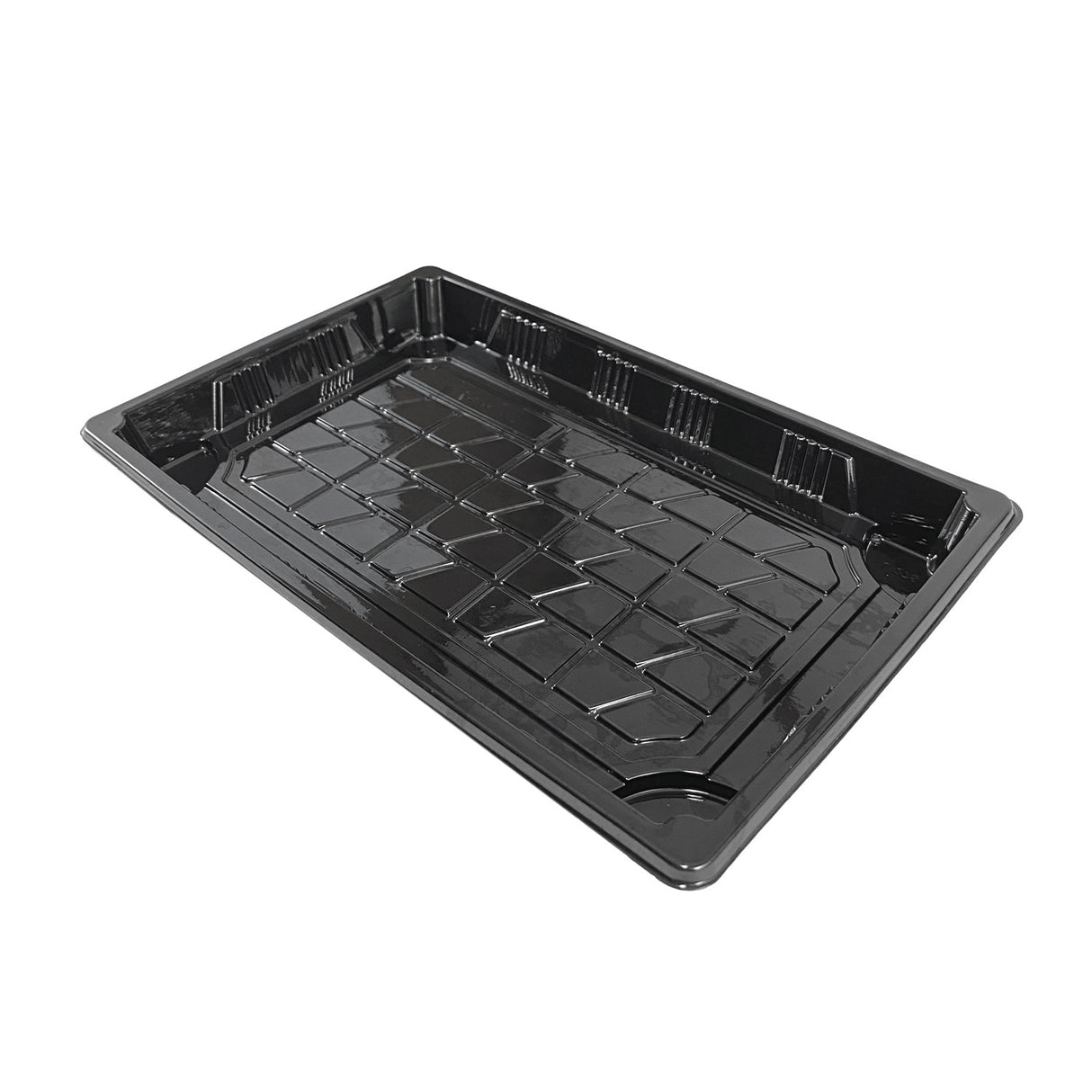 Caserola pentru sushi cu capac transparent, 21x13 cm, (100 buc/set)