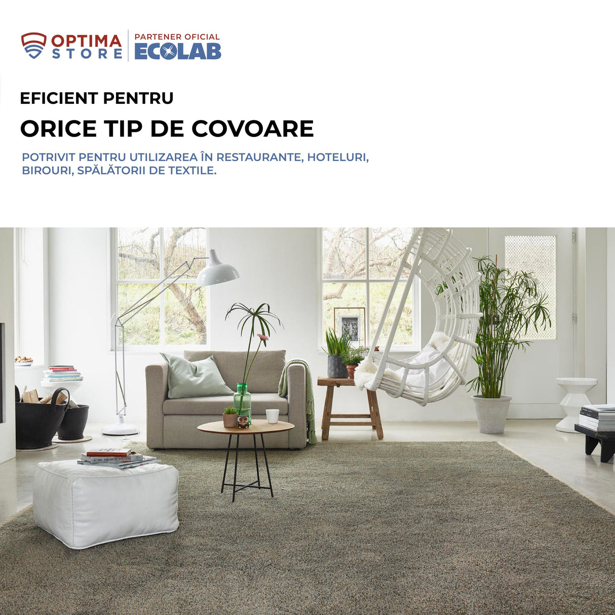 Ecolab Carpet B, soluție pentru îndepărtarea grăsimilor și a petelor uleioase de pe covoare, mochetă și textile, 500ml