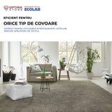 Ecolab Carpet B, soluție pentru îndepărtarea grăsimilor și a petelor uleioase de pe covoare, mochetă și textile, 500ml