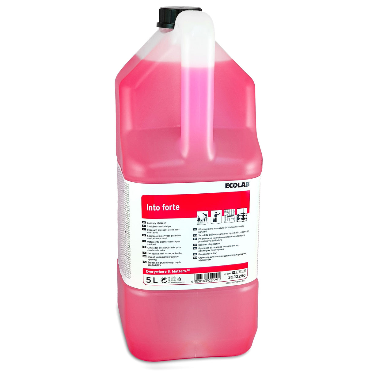 Ecolab Into Forte, detartrant/anticalcar pentru piscine și obiecte sanitare, 5L